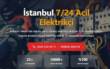 Densa Elektrik Web Sitesi Görseli